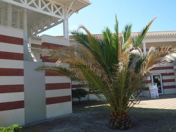 Soulac-Sur-Mer Avec Piscine ภายนอก รูปภาพ